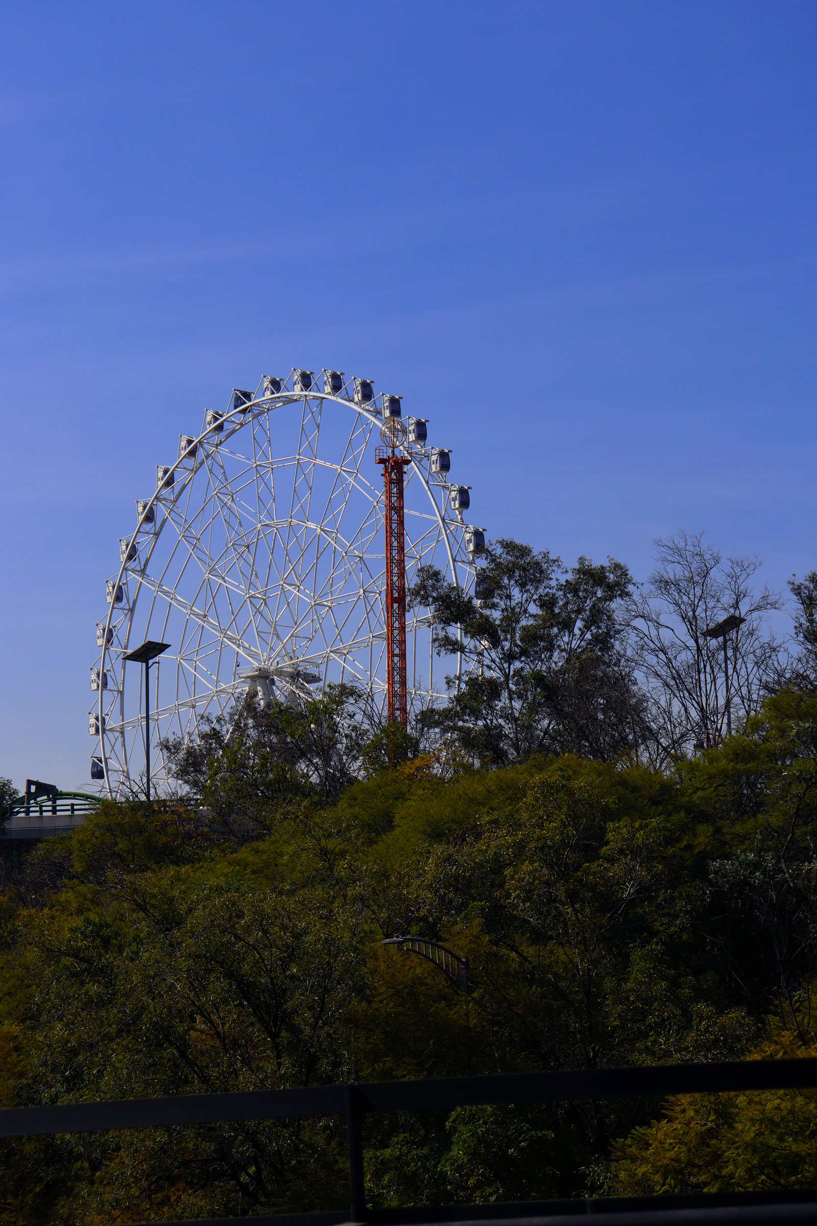 Fotografía Artística 11