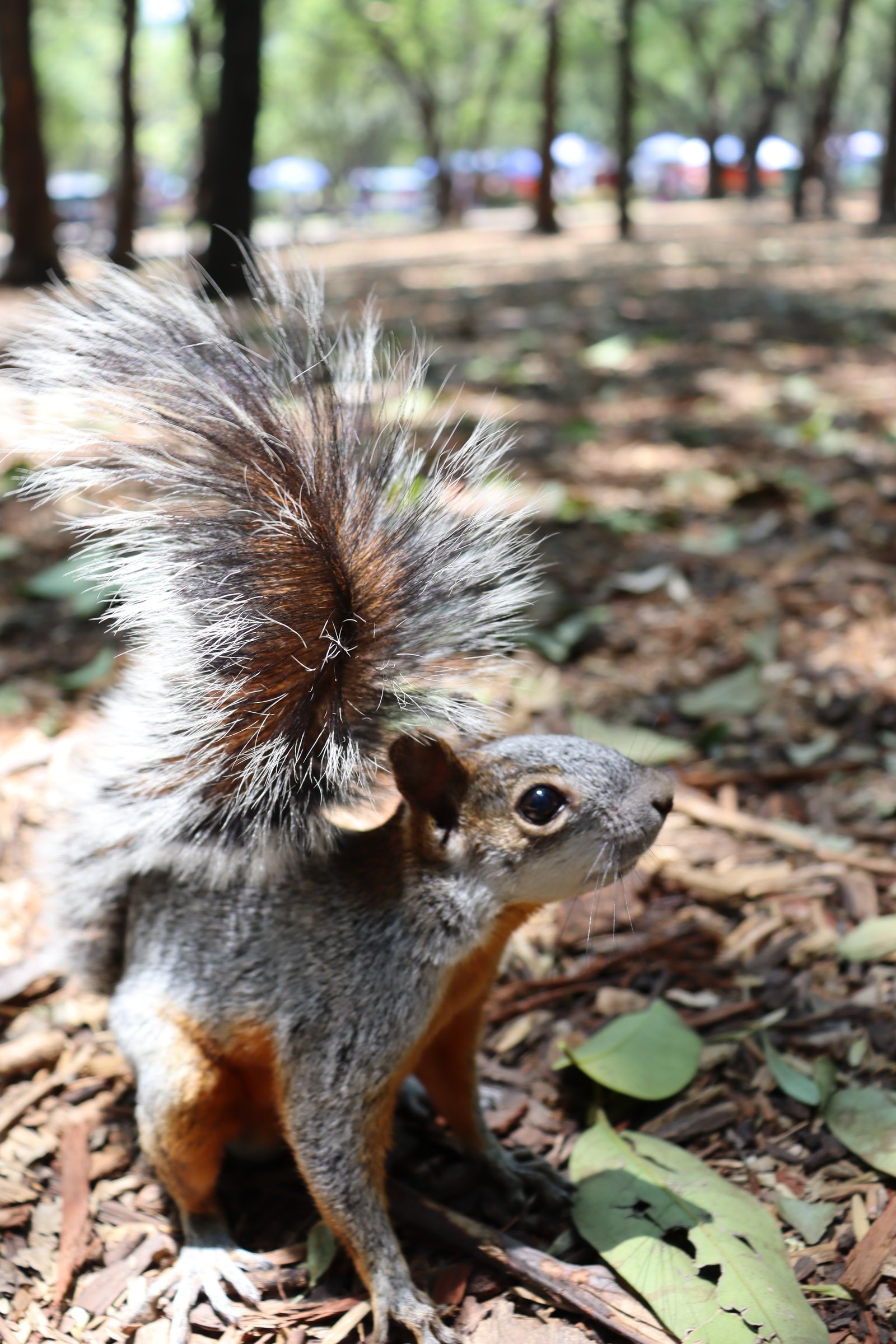 Sesión de Retrato Profesional