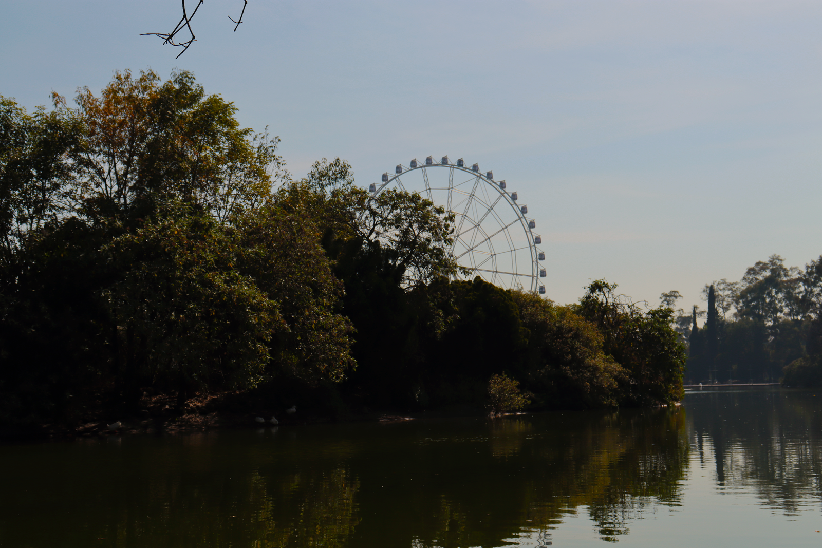 Fotografía Artística 14