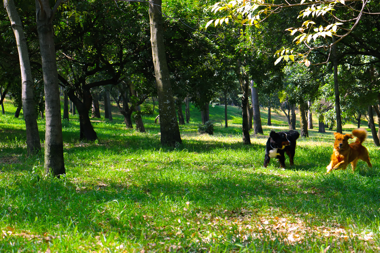 Fotografía Artística 15