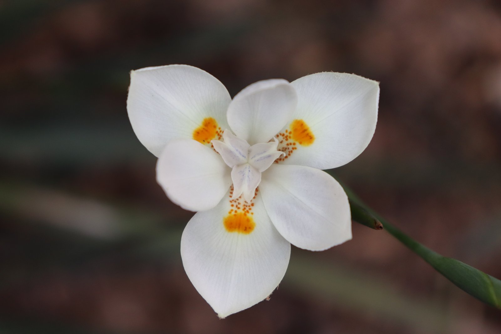 Fotografía Artística 19