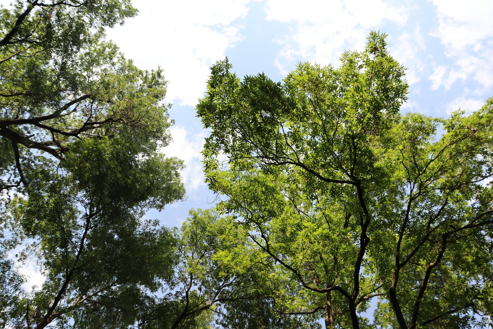 Fotografía Artística 20