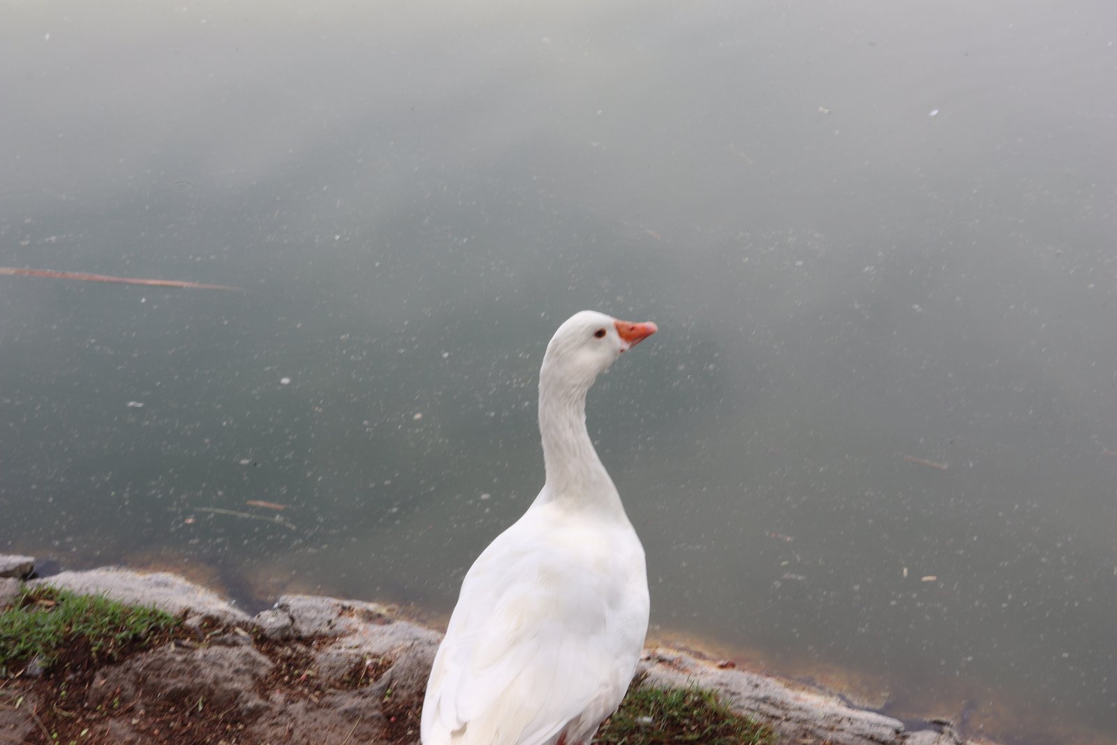 Fotografía Artística 22