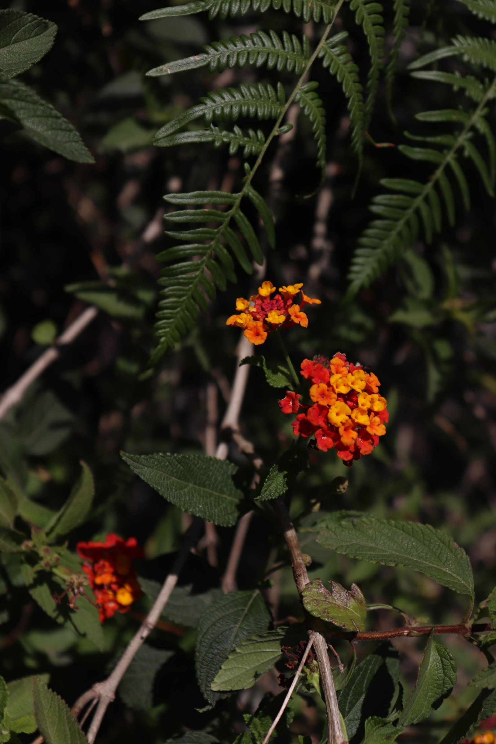 Fotografía Artística 10