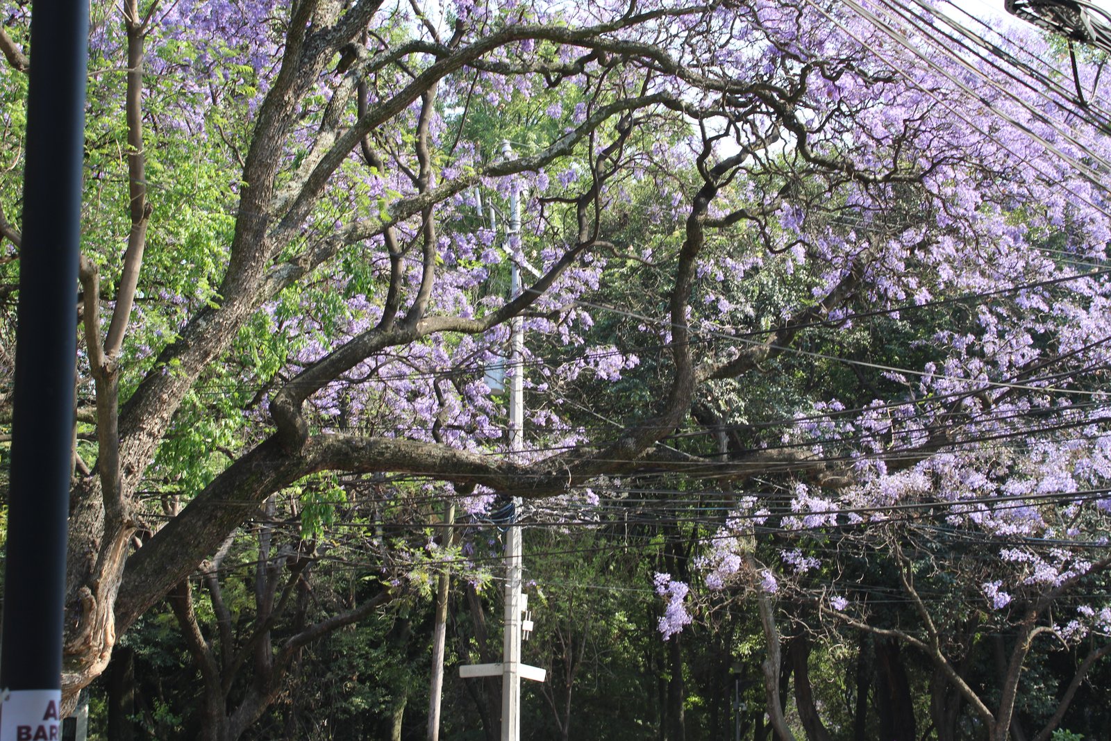 Fotografía Artística 2