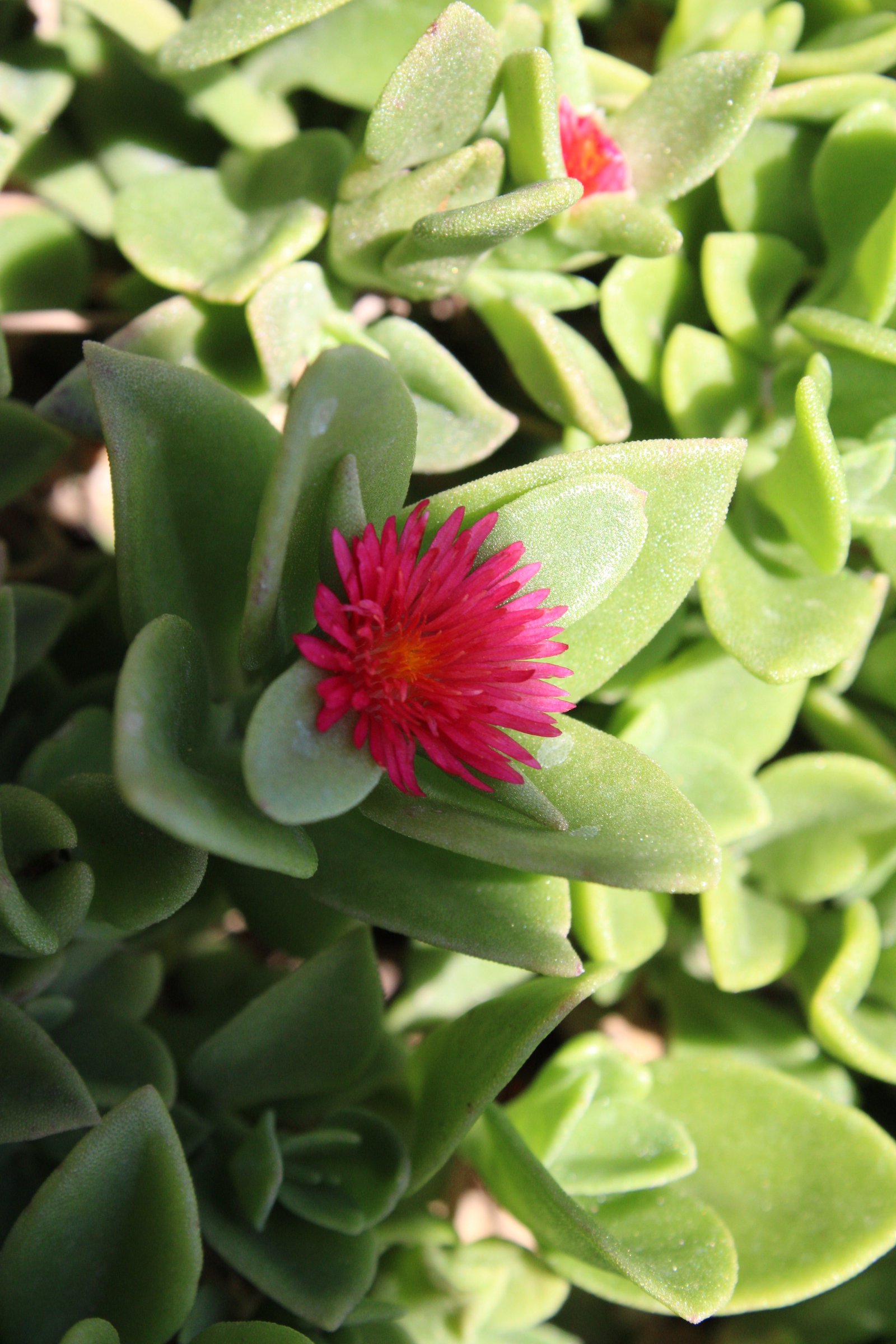 Fotografía Artística 16