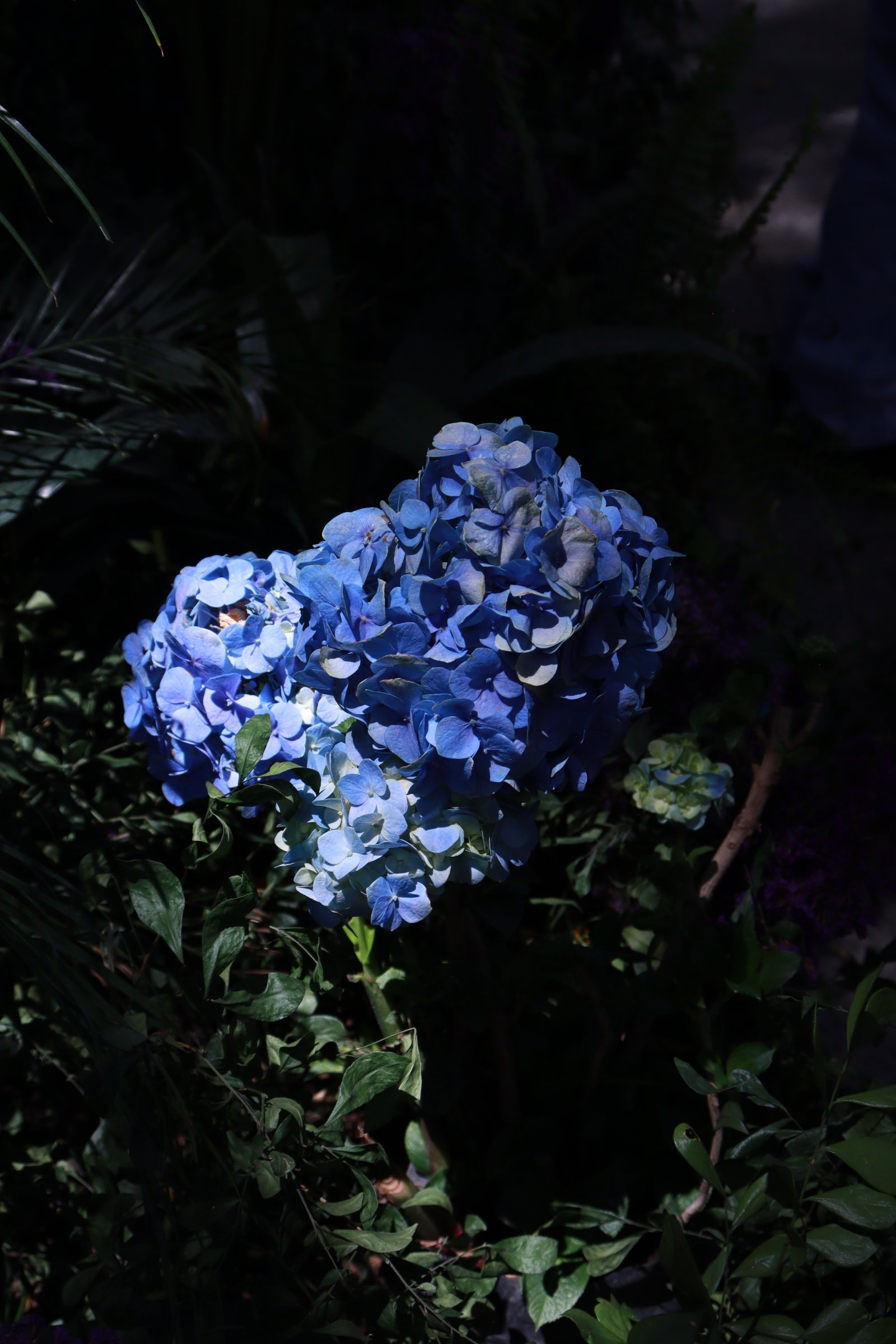 Fotografía Artística 16