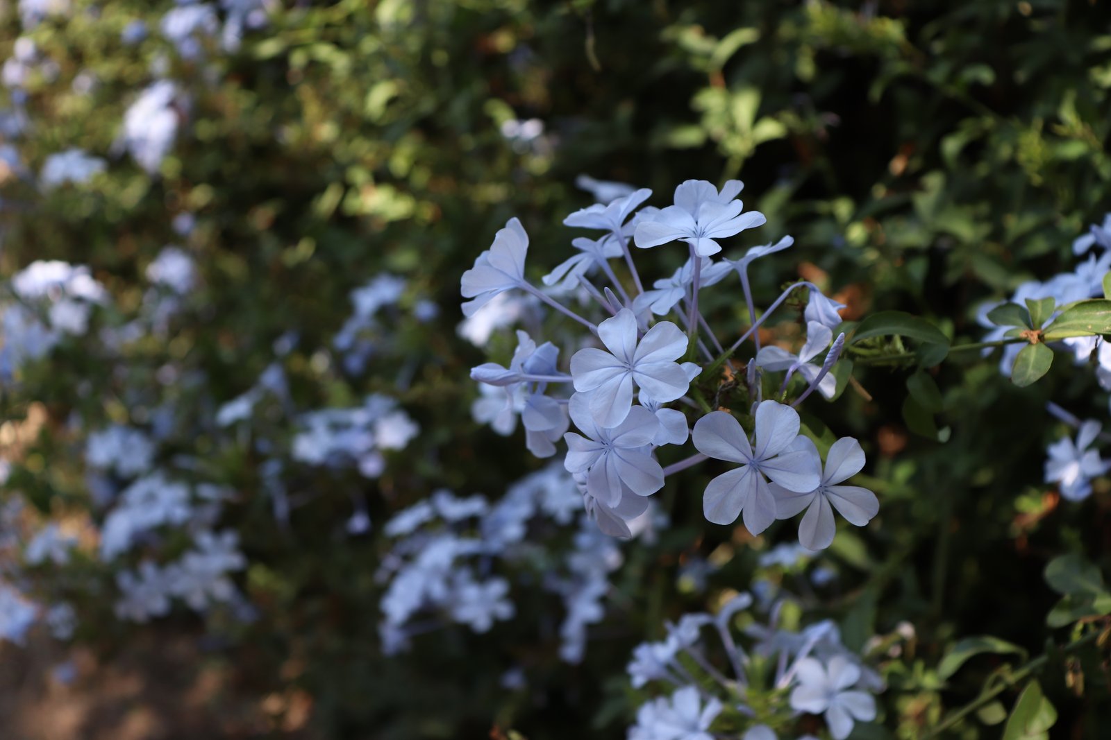 Fotografía Artística 4