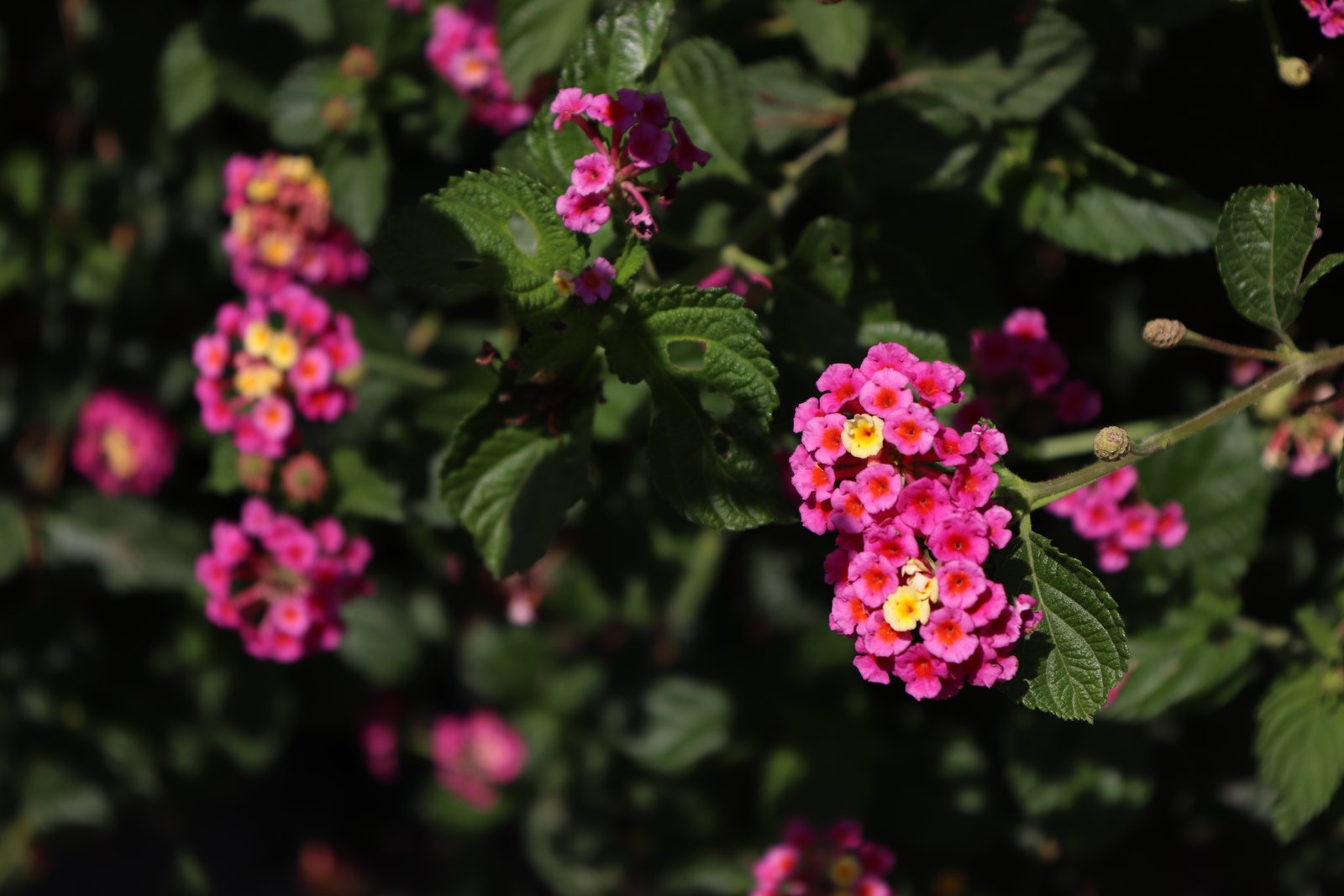 Fotografía Artística 5