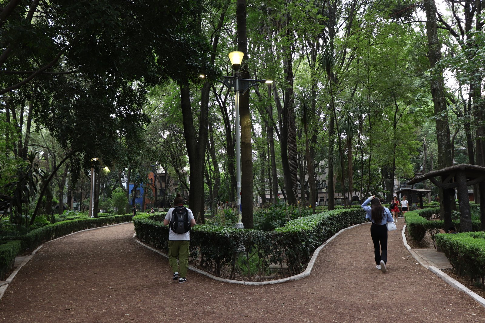 Fotografía Artística 6