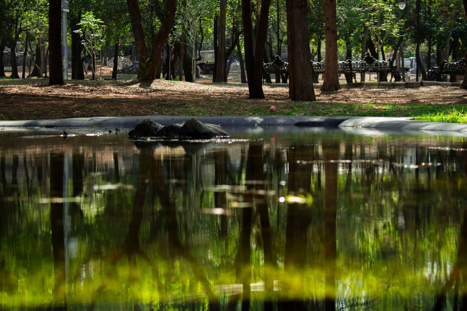 Fotografía Artística 7